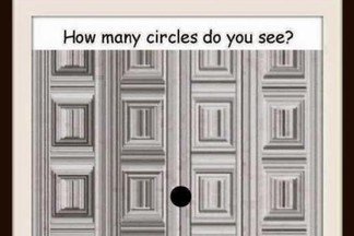 Сколько кругов вы видите на этой картинке?