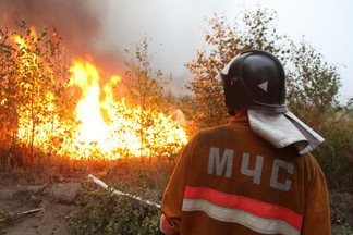 Специалисты МЧС дали рекомендации по предотвращению лесных пожаров