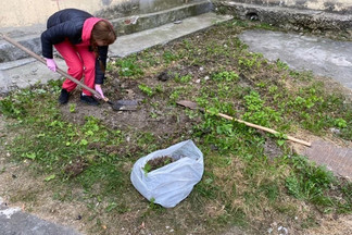 В Екатеринбурге молодая мама за свои деньги сделала дизайнерскую клумбу у страшной детской поликлиники