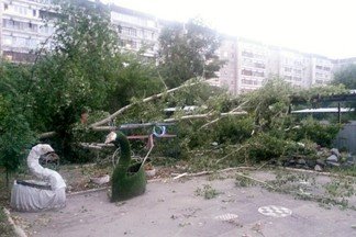 На Эльмаше на веранду детского сада упало большое дерево