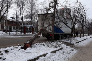 На Эльмаше водитель фургона вырвал с корнем дерево на обочине