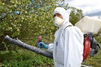 Скверы и парки Орджоникидзевского района начали обрабатывать от клещей