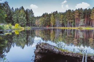 В Калиновском лесопарке проведут генеральную уборку