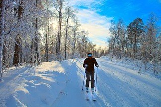 В Екатеринбурге появится первая освещённая лыжероллерная трасса