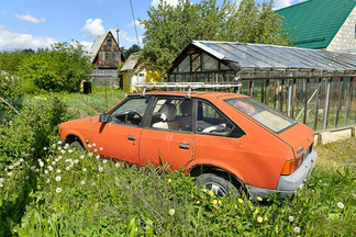 В 50-е сажали картошку, а в 90-е кидались с вилами на бомжей: как живут самые старые дачи на Уралмаше