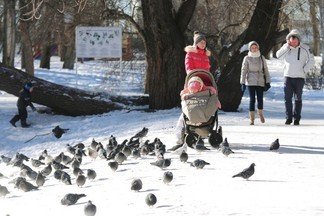 Подсказка от Пенсионного фонда: рассказываем, как екатеринбуржцам быстро оформить СНИЛС на детей