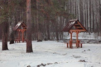 Появятся новые пляжи и зона рыбной ловли: в администрации Екатеринбурга обсудили будущее Шувакишского лесопарка