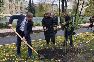 Депутаты, общественники и журналисты посадили деревья в сквере Орджоникидзе